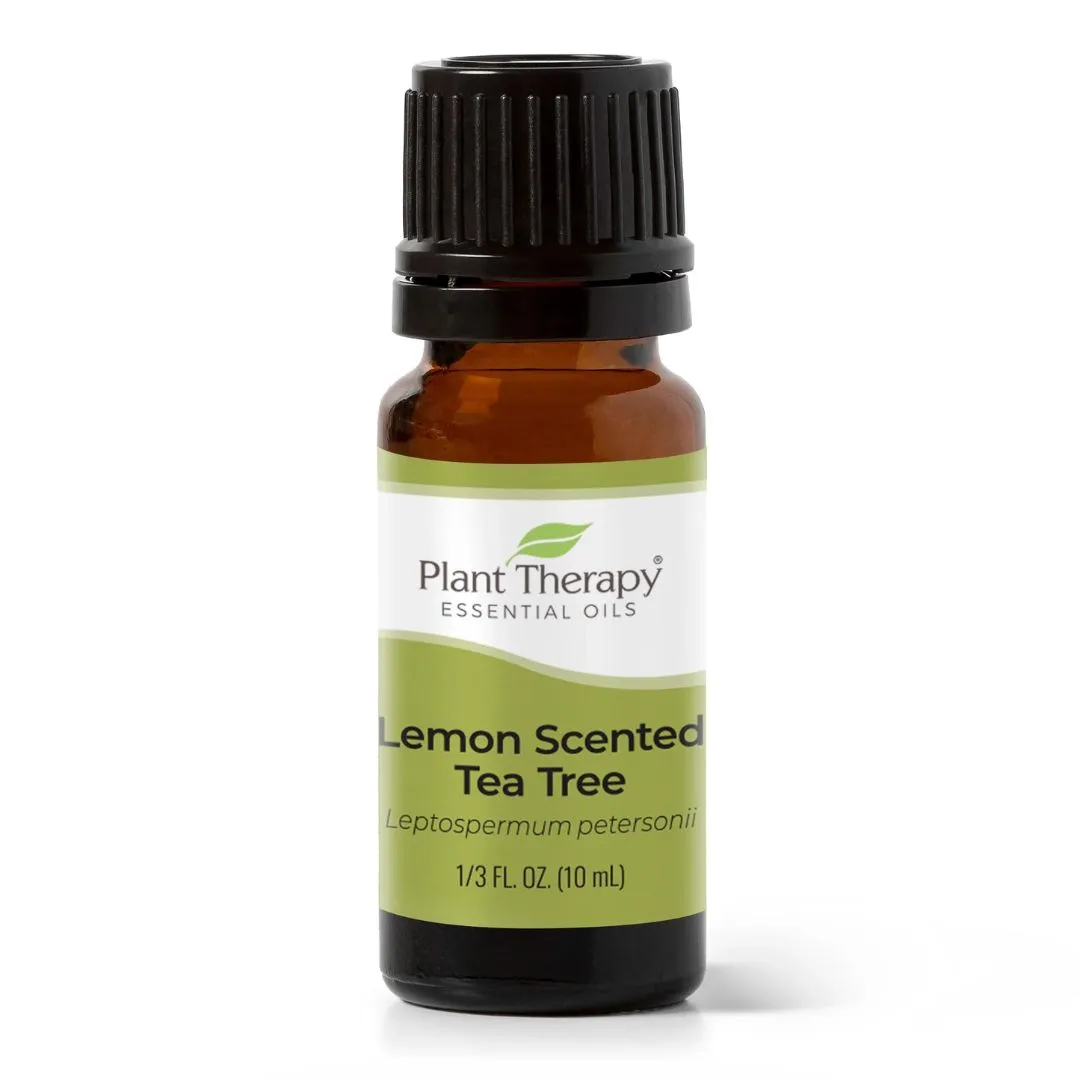 Plant Therapy Lemon Scented Tea Tree Essential Oil