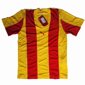 Puma - Junior Team Liga Striped Jersey