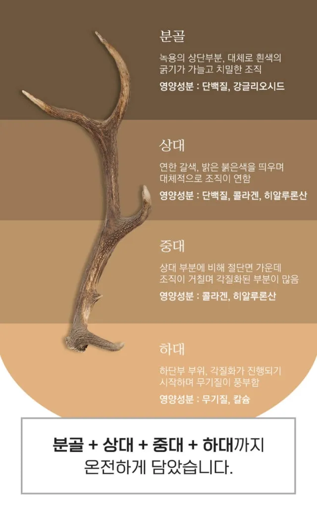 SANGA Deer Antler Korean Red Ginseng Extracts Mild 4 Bottles 6 year Health Supplements Immunity Fatigue Improvement Memory Gifts